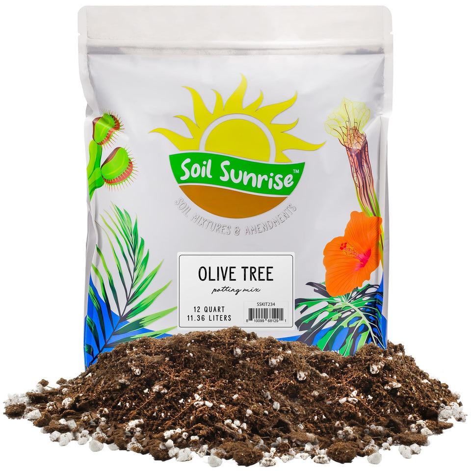 Soil Sunrise olive tree potting soil mix bag open shows rich texture for container olives