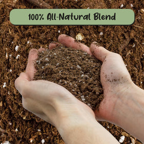Dried particles in Soil Sunrise mix demonstrating balanced drainage components