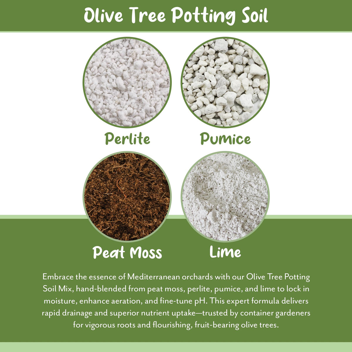 Soil Sunrise mix in pot with olive tree ready for repotting