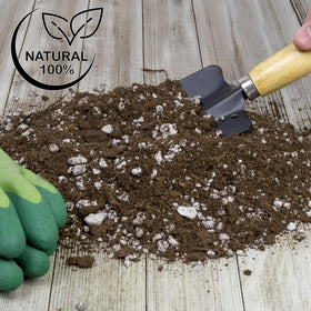 User-friendly Soil Sunrise mix for quick setup and repotting olive plants
