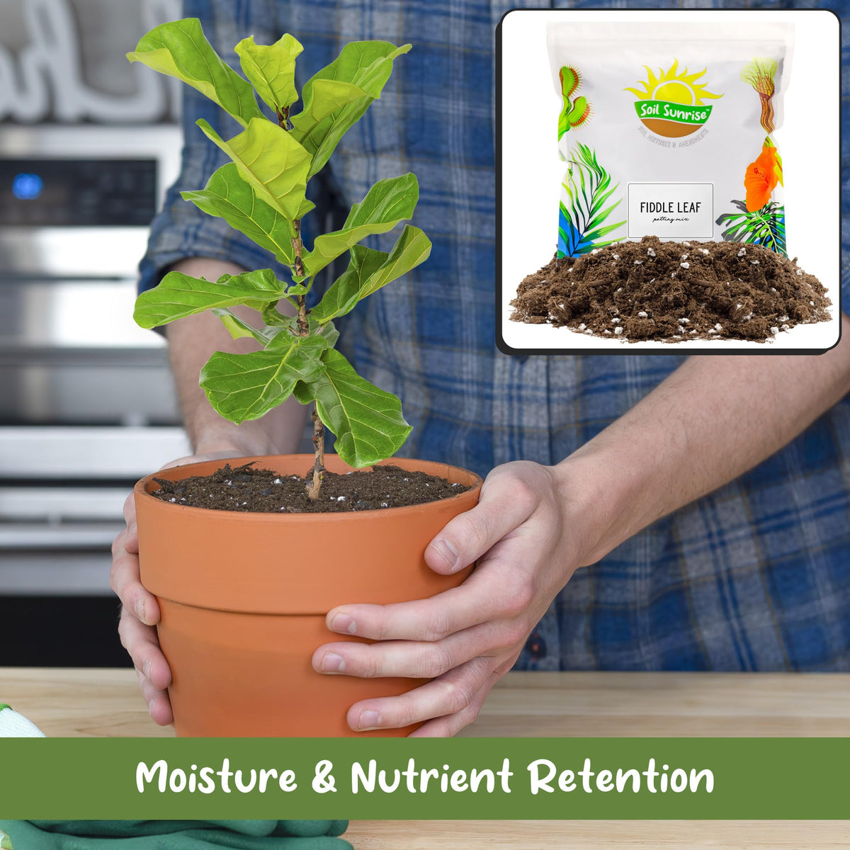 Soil Sunrise Premium Fiddle Leaf Fig Soil with visible organic components for balanced pH