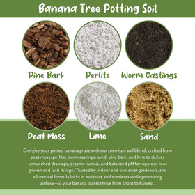Soil Sunrise organic humus ingredients for naturally nourished banana plants