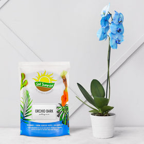 Soil Sunrise organic orchid mix additive enhances aeration for epiphytic plants.