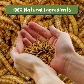 Soil Sunrise packaging label front communicates natural, shelf-stable plant food