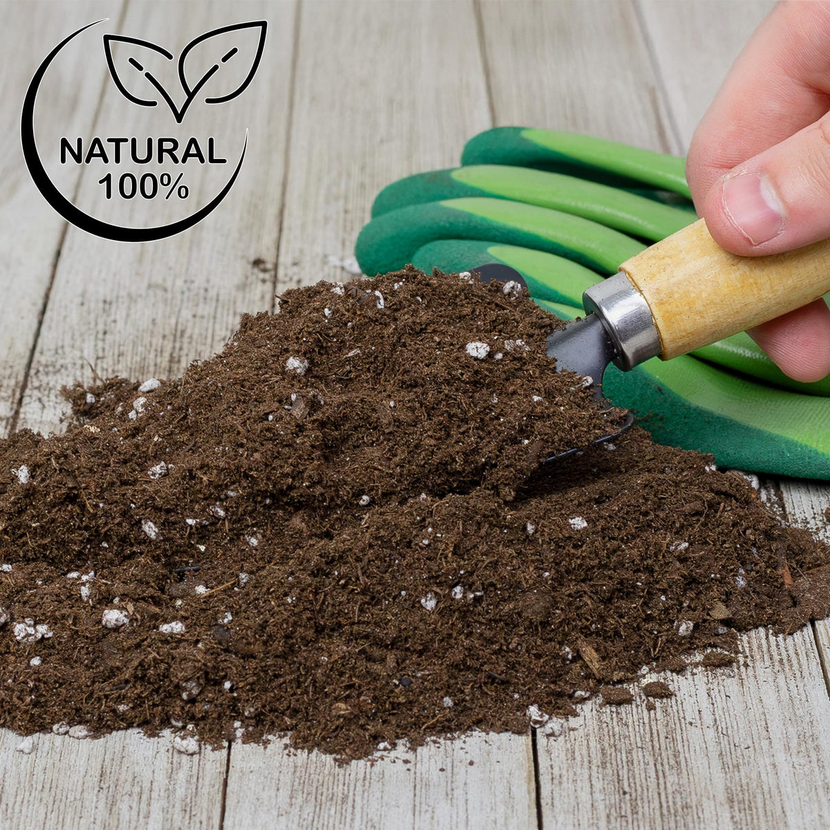 Packaging design showcases eco-friendly Soil Sunrise formula for Lucky Bamboo