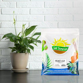 Soil Sunrise Peace Lily mix close-up shows pine bark and peat moss for robust growth.