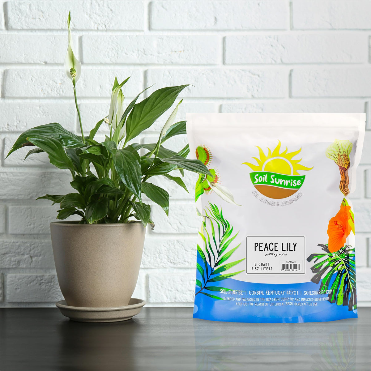 Soil Sunrise Peace Lily Potting Soil pour for easy container filling