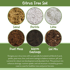 Soil Sunrise peat moss and coarse sand for reliable drainage