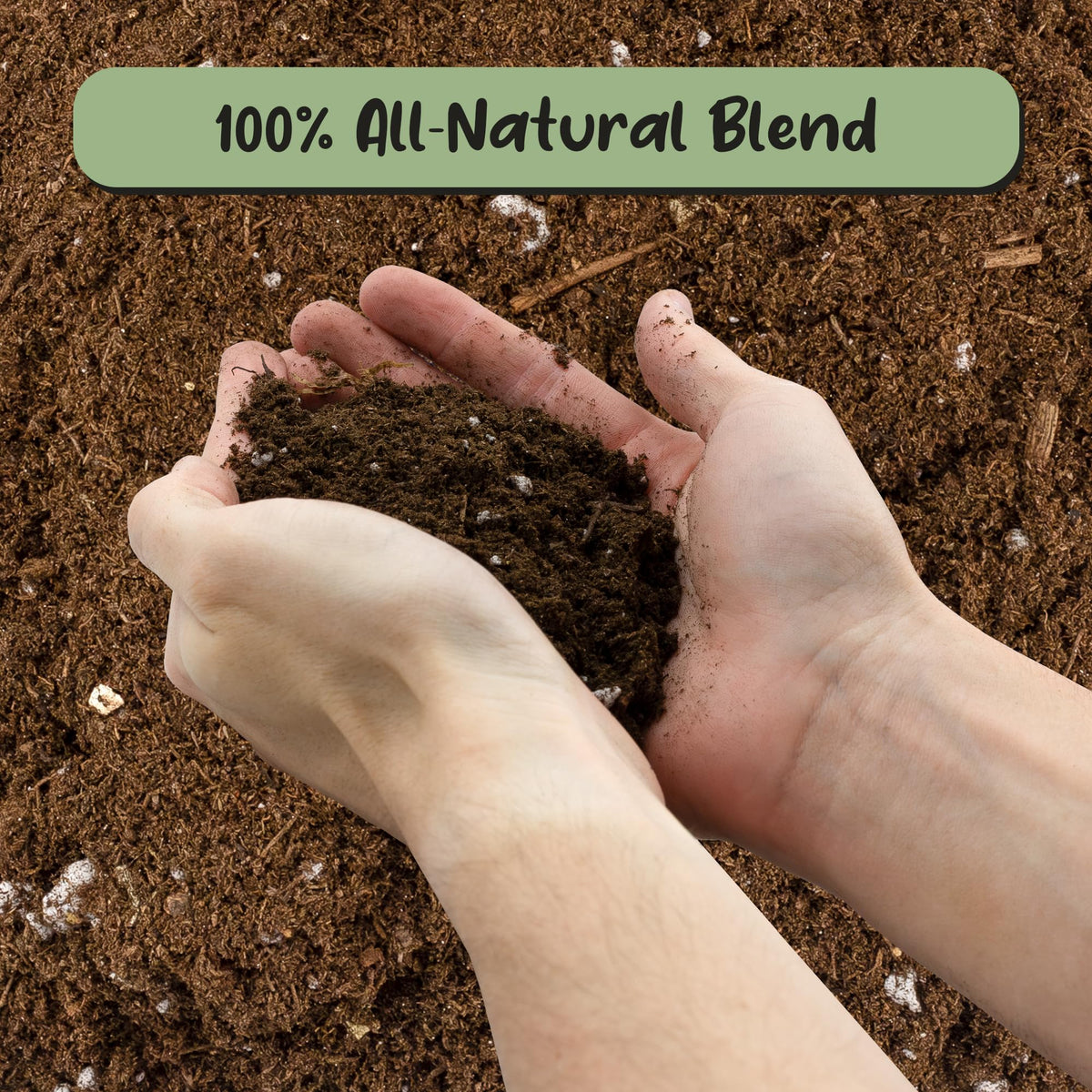 Soil Sunrise peat moss ingredients close-up for natural rooting medium.