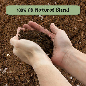 Soil Sunrise peat moss ingredients close-up for natural rooting medium.