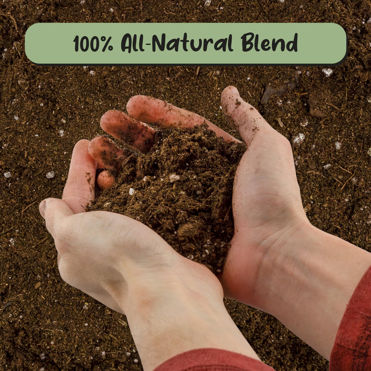 Soil Sunrise peace lily mix close-up highlights perlite and lime for pH balance.