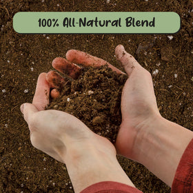 Soil Sunrise peace lily mix close-up highlights perlite and lime for pH balance.