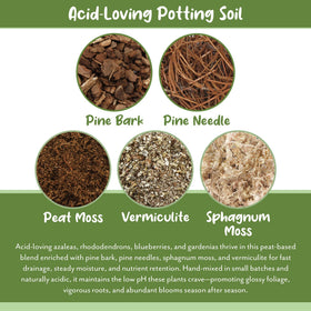 Soil Sunrise mix highlights perlite and sphagnum for drainage and aeration.