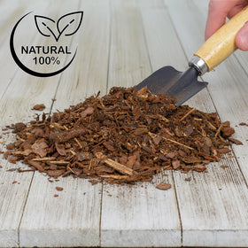 Soil Sunrise mulch nuggets in outdoor container use for weed suppression