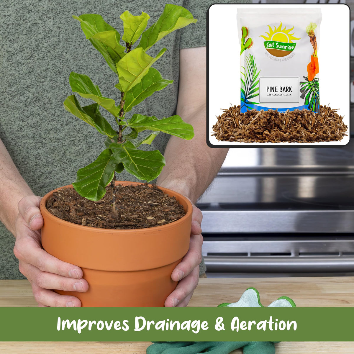 Soil Sunrise pine bark nuggets in pot demonstrate effective moisture balance for houseplants
