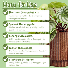 Soil Sunrise mulch reduces soil splash during watering for terrariums and planters