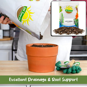 Soil Sunrise ingredients label featuring peat moss and lime for soil balance
