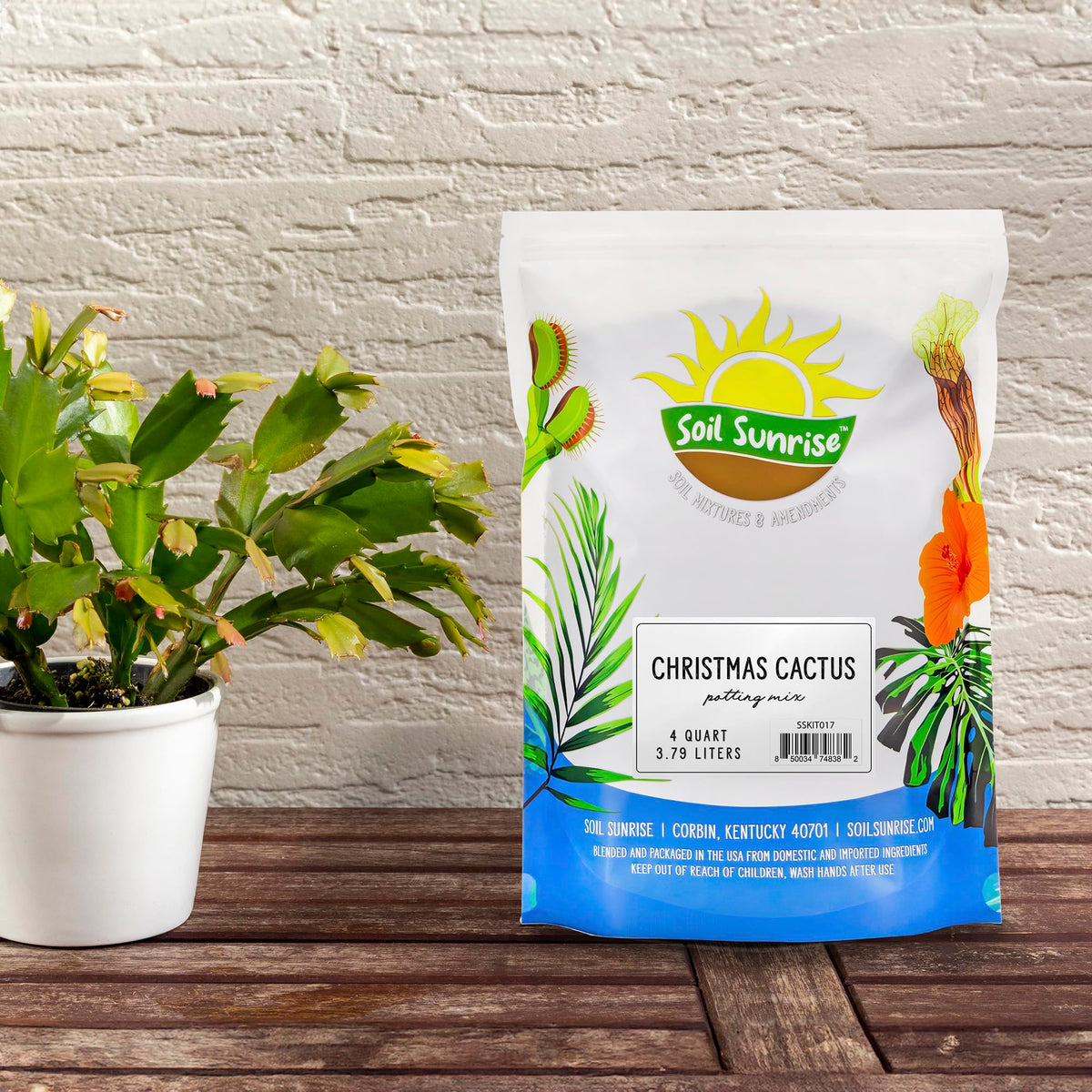 Soil Sunrise Potting Mix texture close-up highlighting airy, well-draining grains ideal for cactus roots.