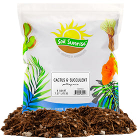 Soil Sunrise pour demonstrates fast drainage for cactus potting