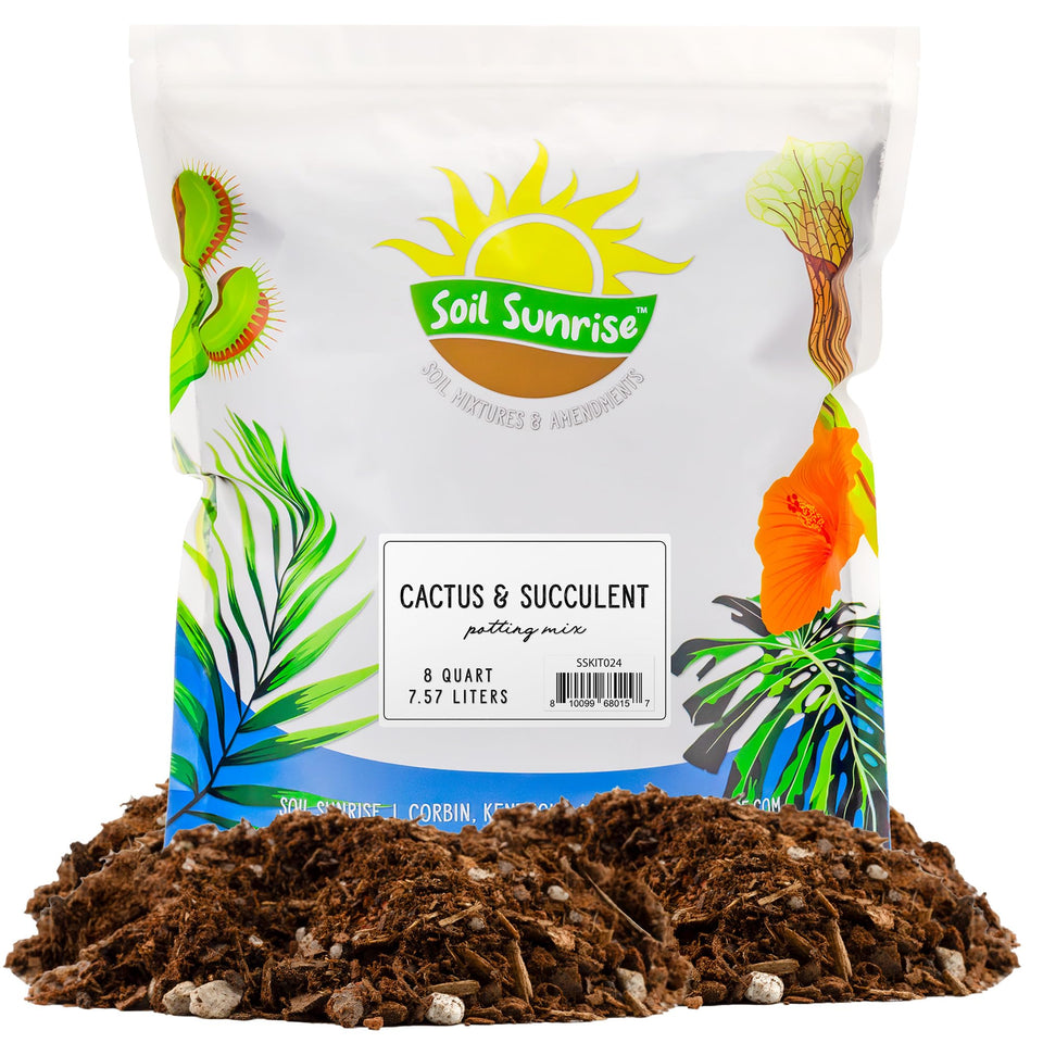 Soil Sunrise pour demonstrates fast drainage for cactus potting