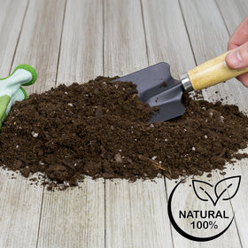 Soil Sunrise ready-for-use banana care solution for containers