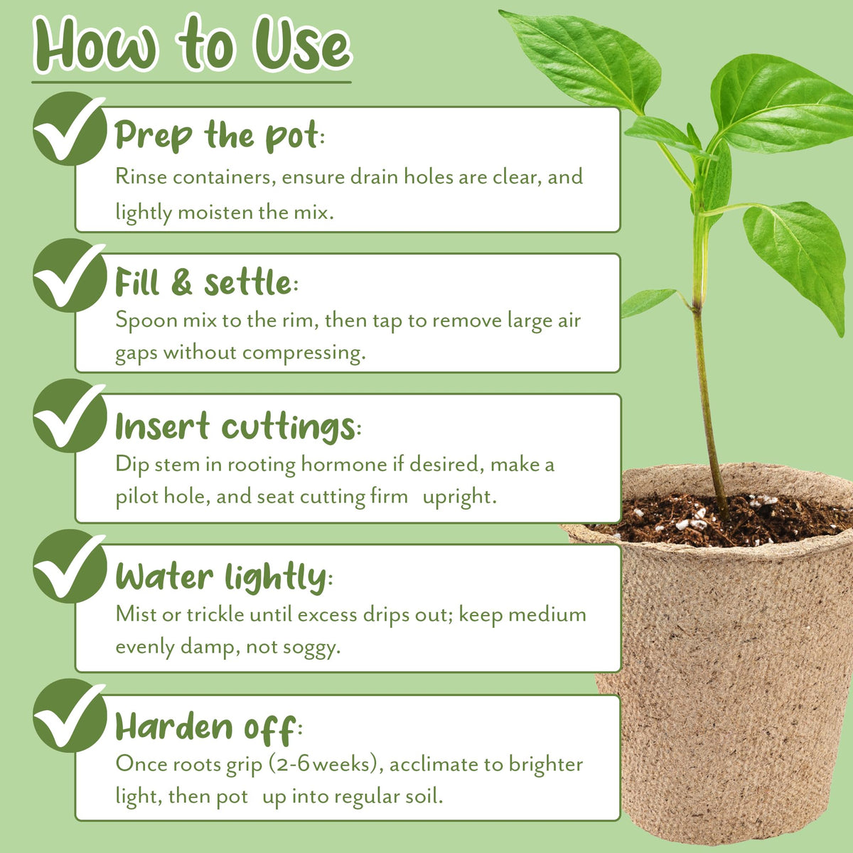 Soil Sunrise repotting for houseplants using propagation mix.