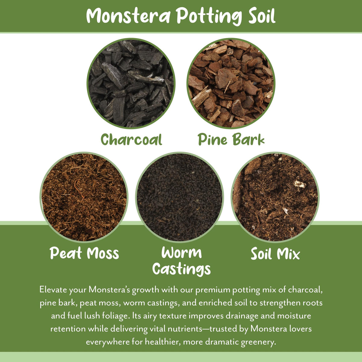 Hands repotting a Monstera with Soil Sunrise root-healthy blend