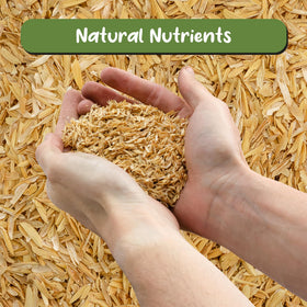 Soil Sunrise rice hulls used in a potting mix for houseplants.