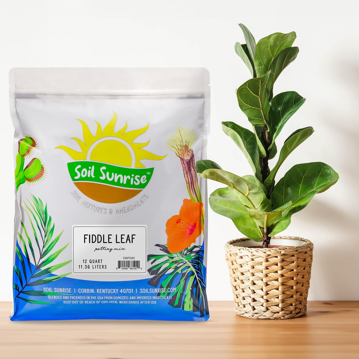 Soil Sunrise Premium Fiddle Leaf Fig Soil close-up of nutrient-rich texture for thriving plants