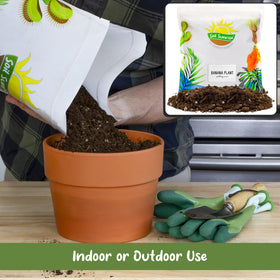 Soil Sunrise root aeration-focused mix supports strong, expansive root systems