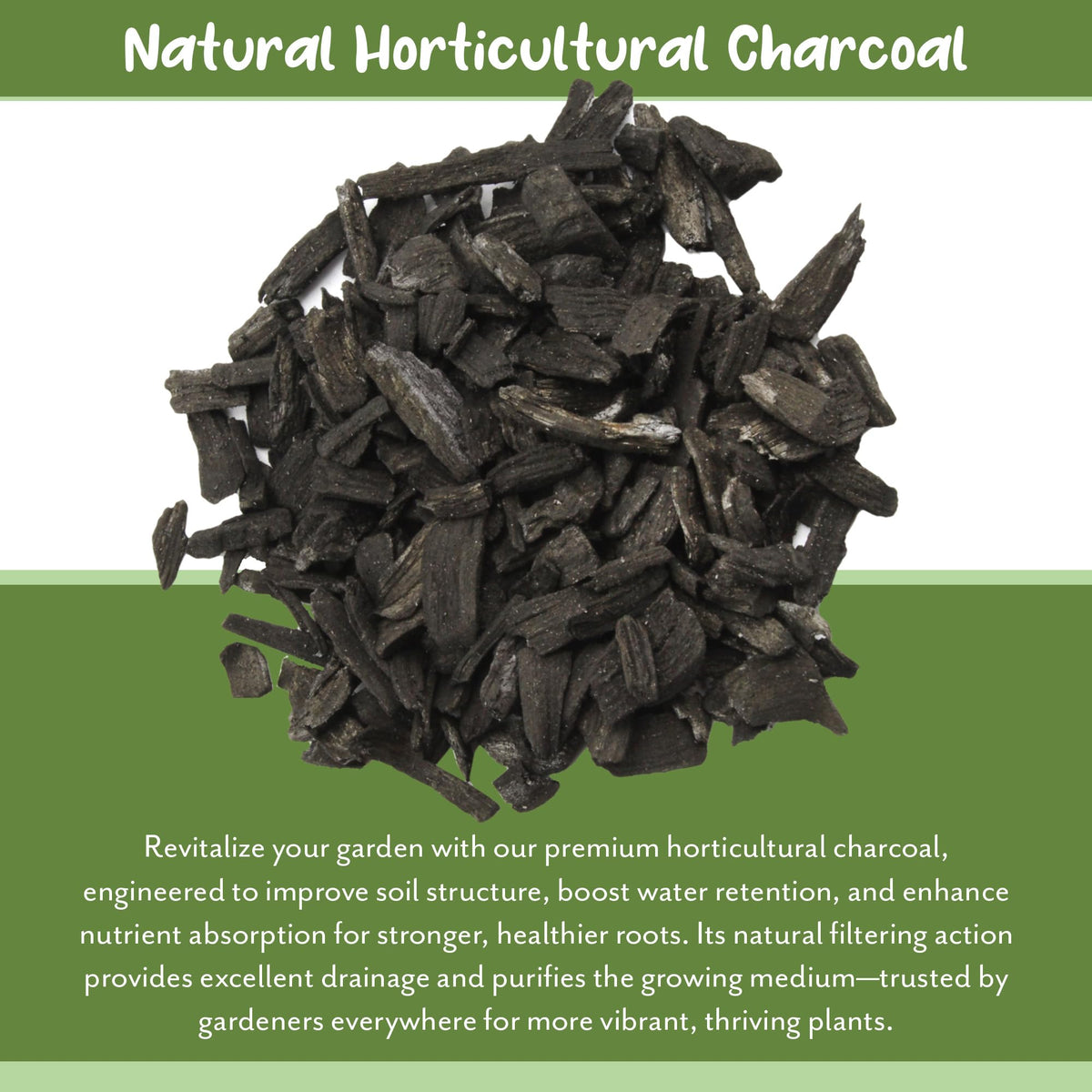 Soil Sunrise terrarium charcoal usage for moisture balance.