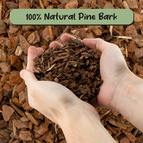 Soil Sunrise USA-sourced pine bark promotes healthy drainage in containers.