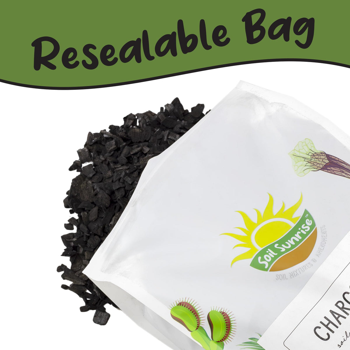 Soil Sunrise woodland charcoal pieces for terrarium scenery.