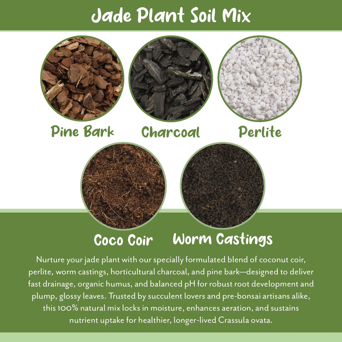 Soil Sunrise horticultural charcoal and perlite aid nutrient retention.
