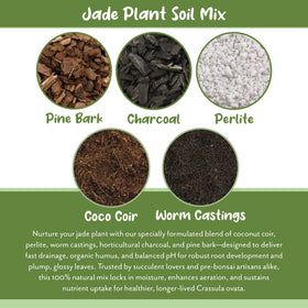 Soil Sunrise horticultural charcoal and perlite aid nutrient retention.