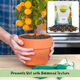 Soil Sunrise worm castings and lime balance nutrients for growth