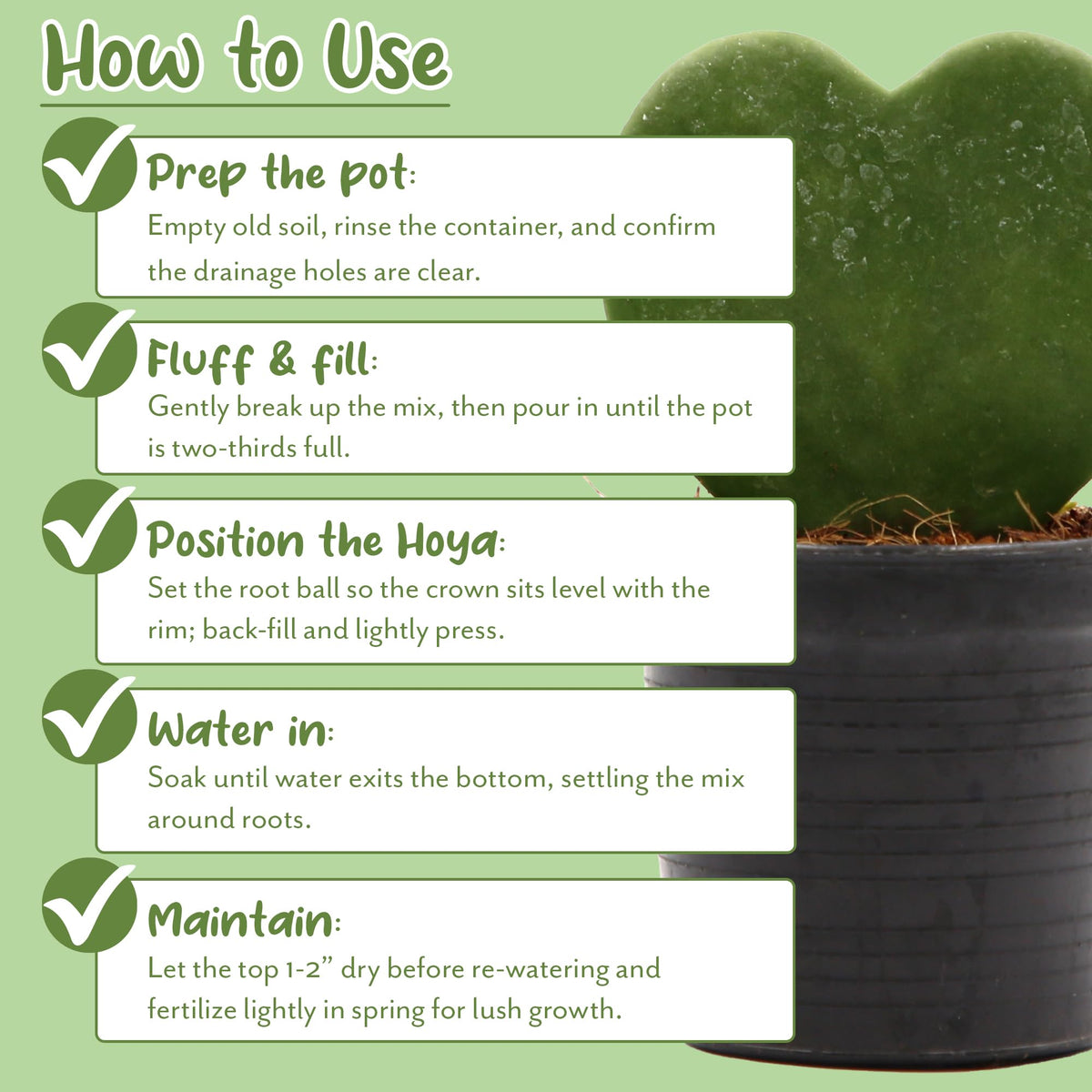 Soil Sunrise worm castings lime formula offers balanced nutrients for Hoyas