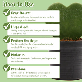 Soil Sunrise worm castings lime formula offers balanced nutrients for Hoyas
