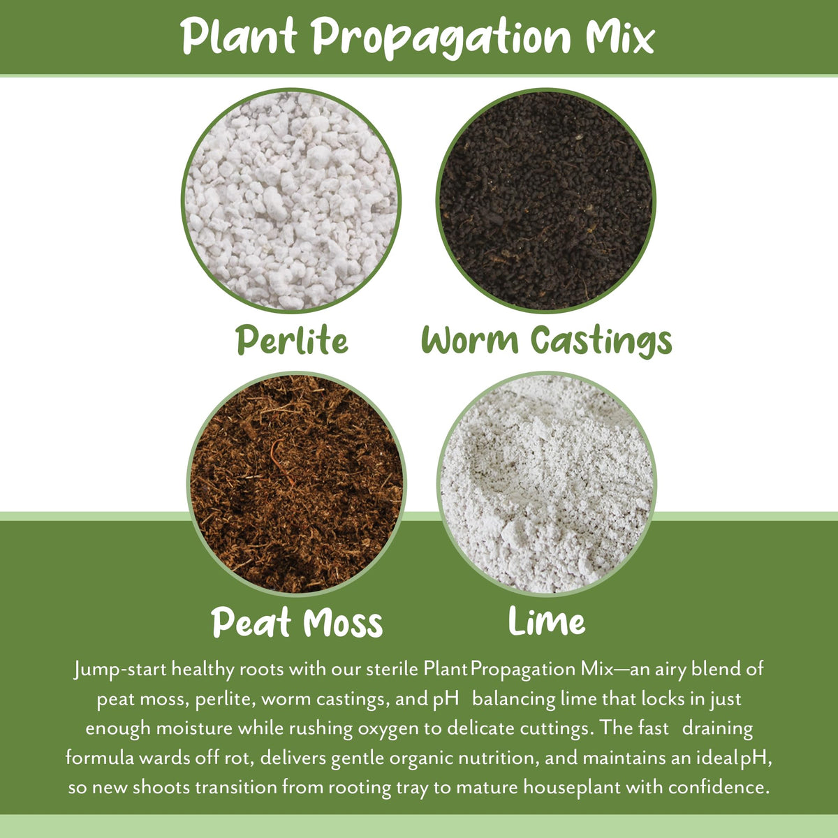 Soil Sunrise worm castings add nutrients for healthy roots.