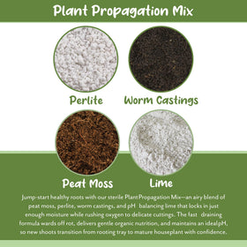 Soil Sunrise worm castings add nutrients for healthy roots.