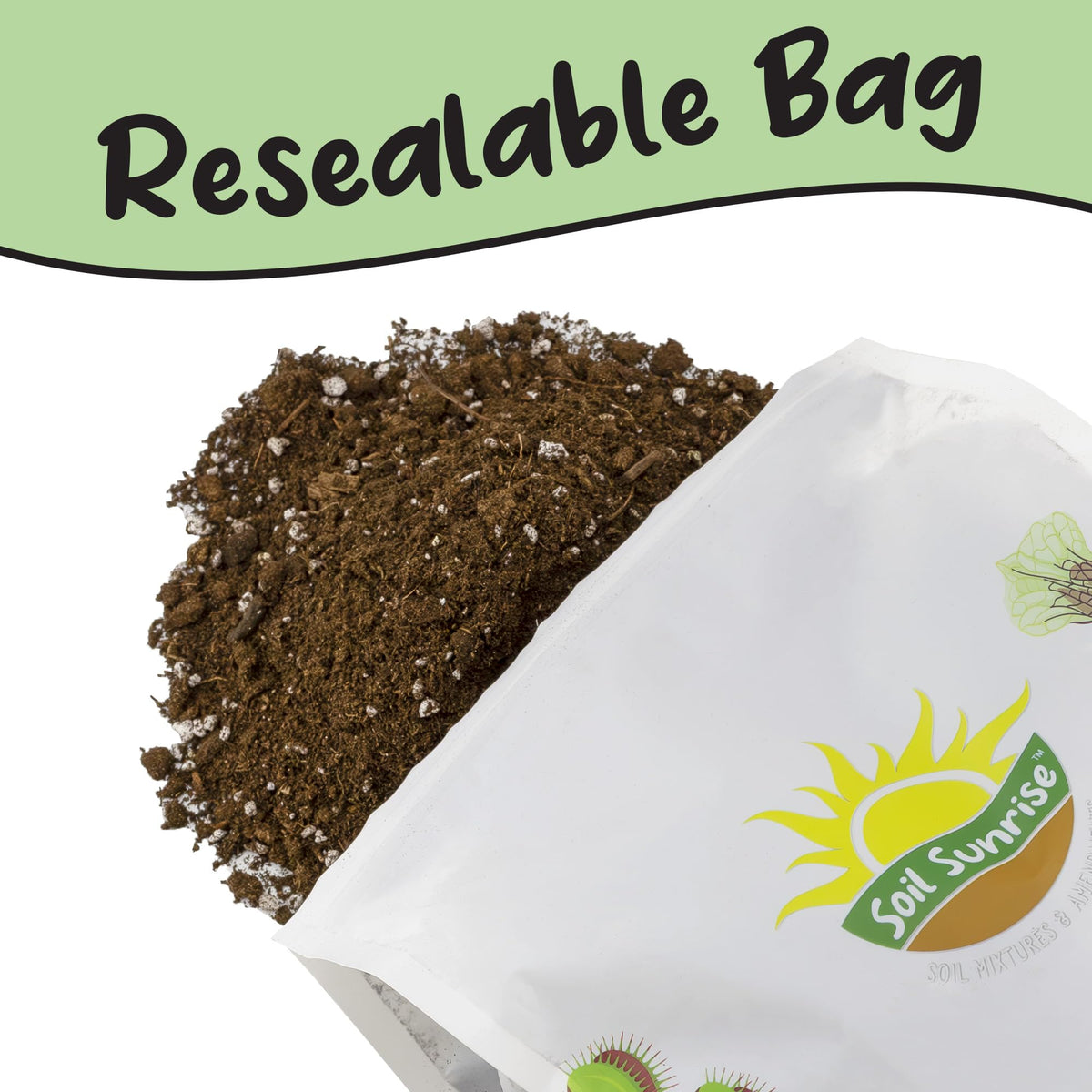 ZZ Plant in pot with Soil Sunrise soil mix promotes health