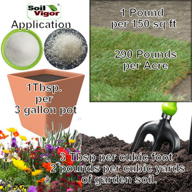 Soil Vigor gardener-use-case benefits include easier irrigation planning.