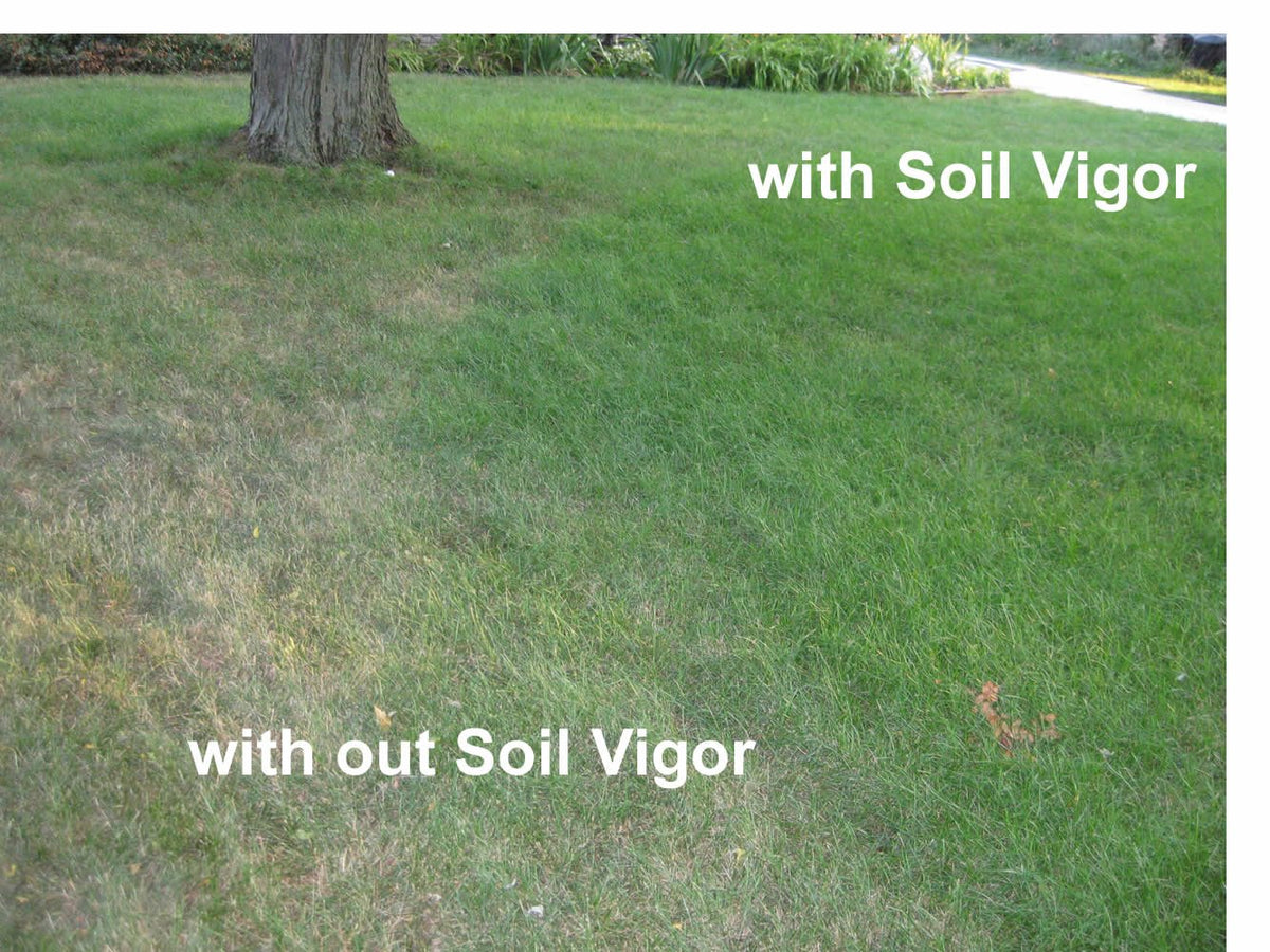 Soil Vigor long-lasting effect supports moisture retention over time.