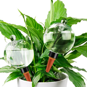 Soilagua 19 oz globe displaying top-fill design for easy refilling and steady moisture