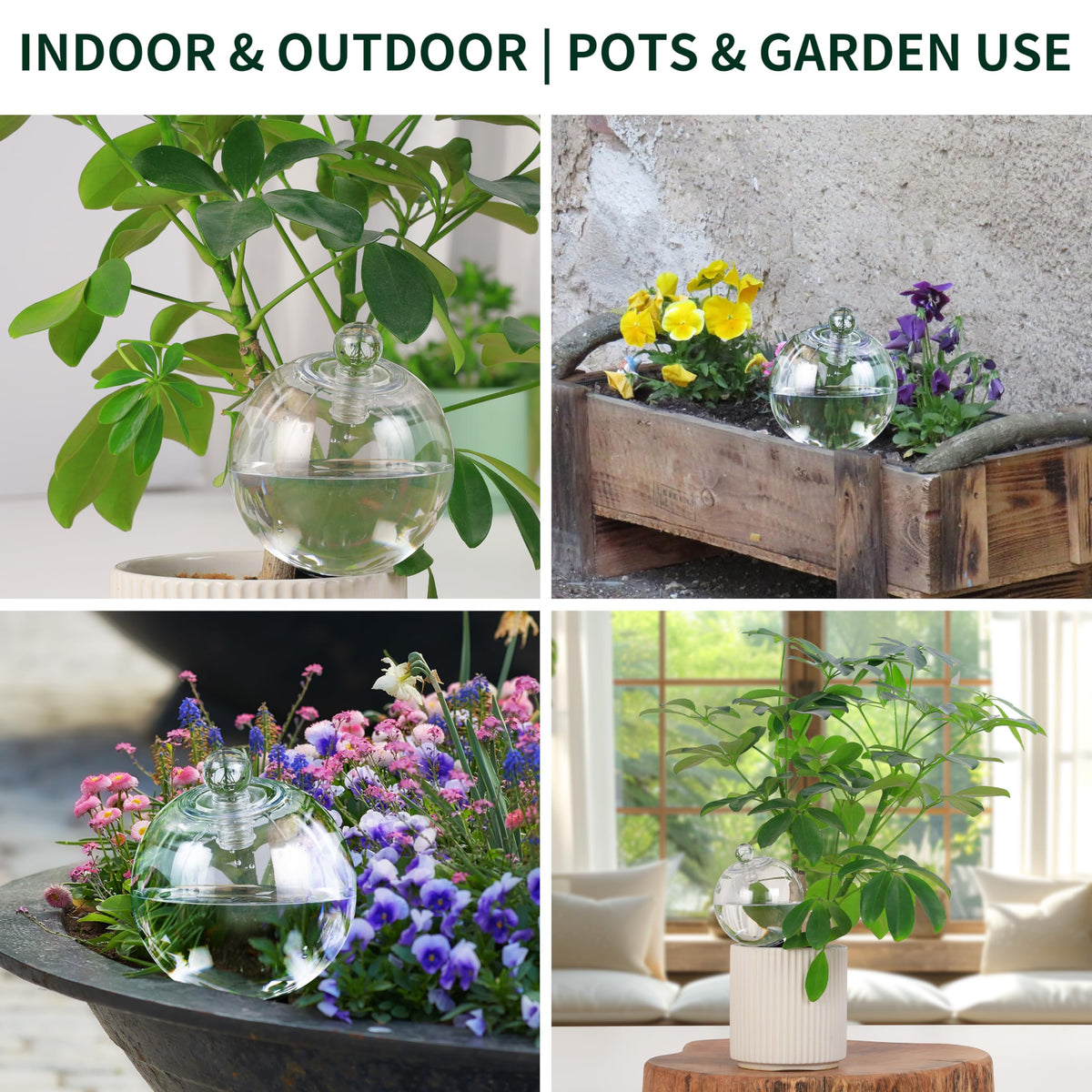 Soilagua 2-pack watering globes shown in a home garden setup