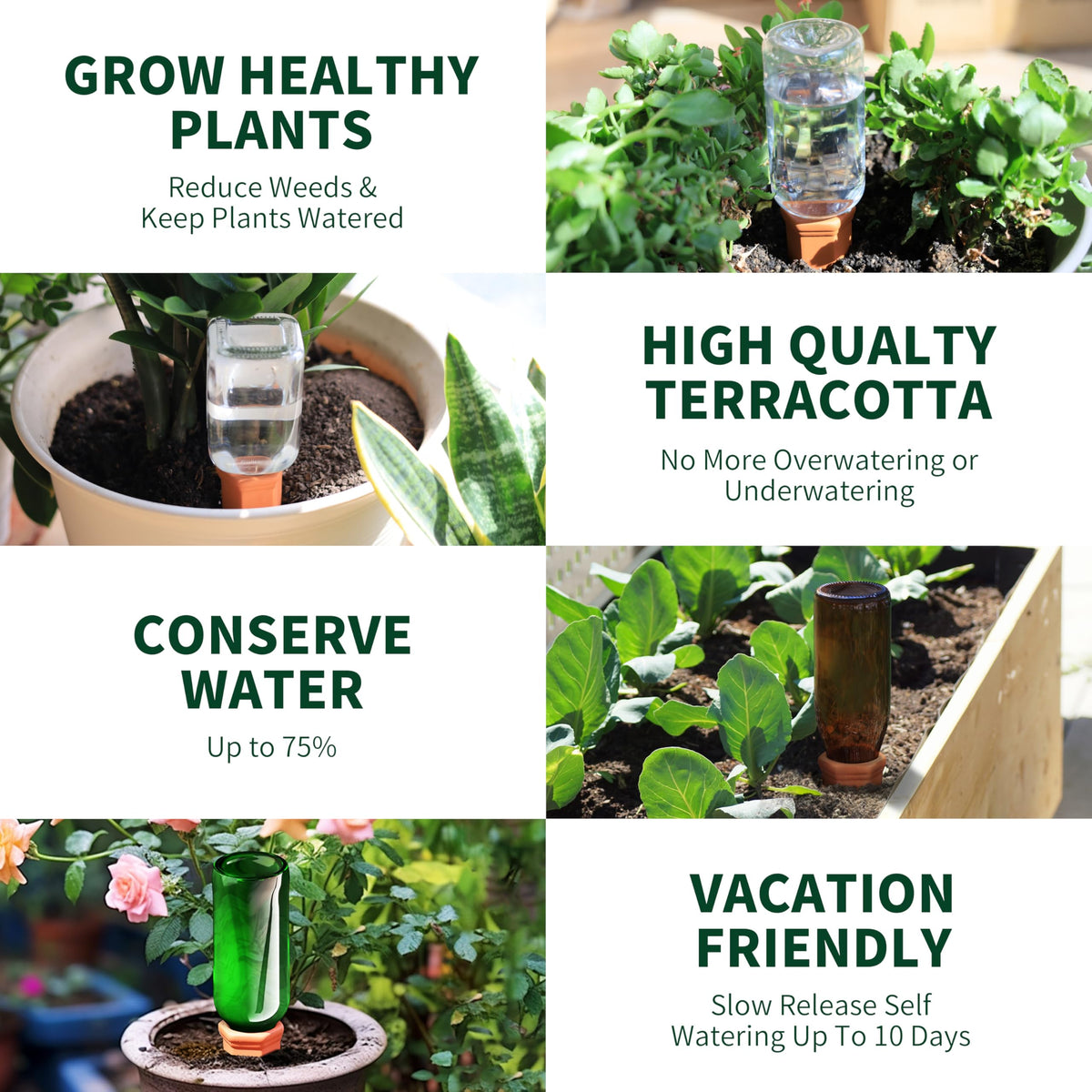 Soilagua 6-pack of spikes for scalable plant care.