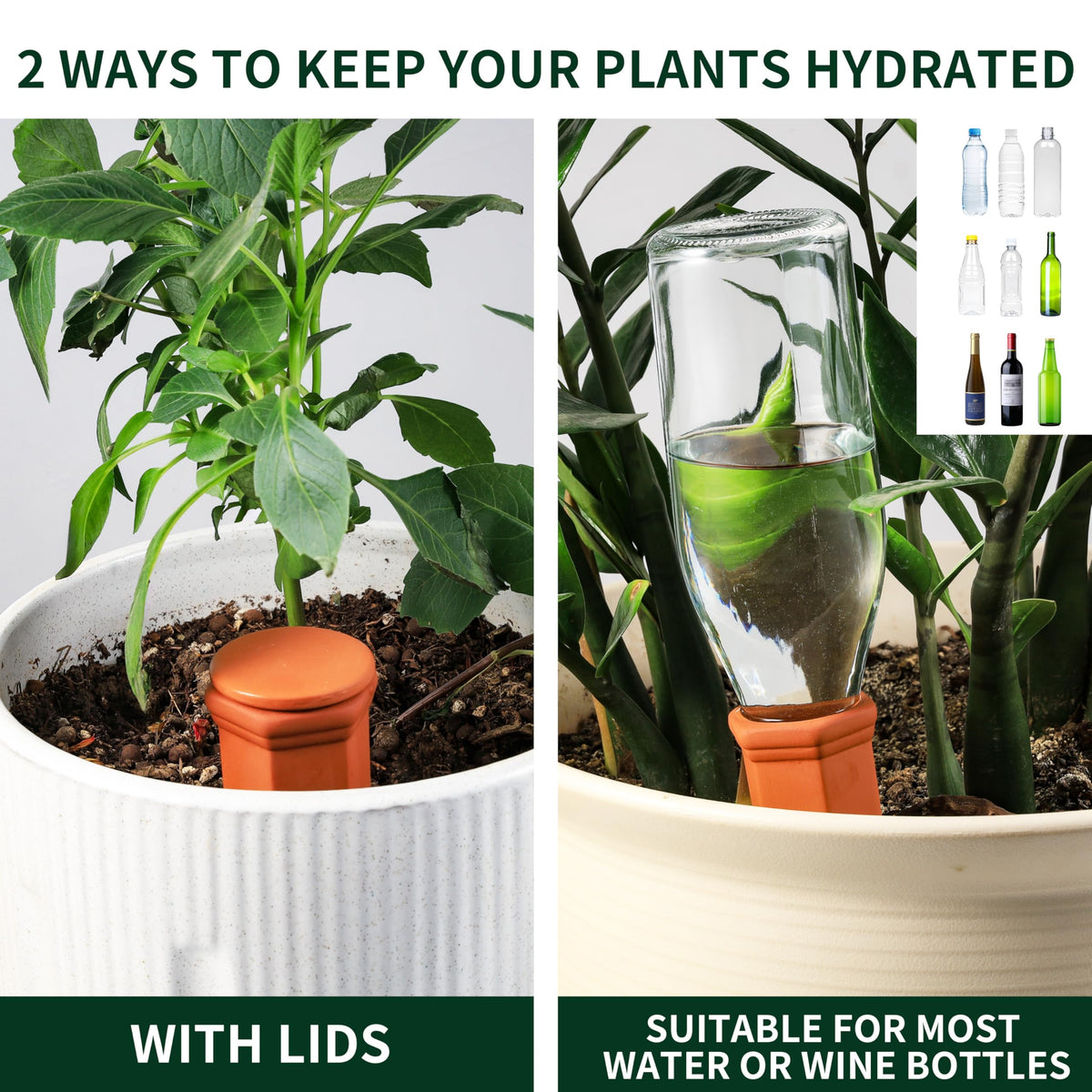 Soilagua bottle adapter enables easy DIY self-watering with common bottles.