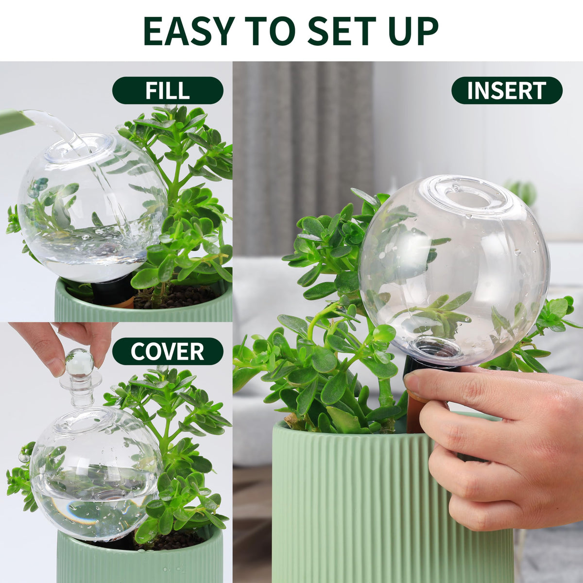 Soilagua bottom-watering system delivering moisture to plant roots