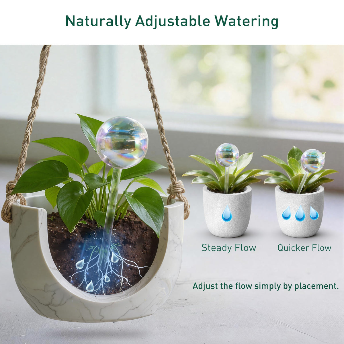 Soilagua indoor-outdoor solution supports varied plant collections.
