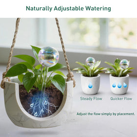Soilagua indoor-outdoor solution supports varied plant collections.